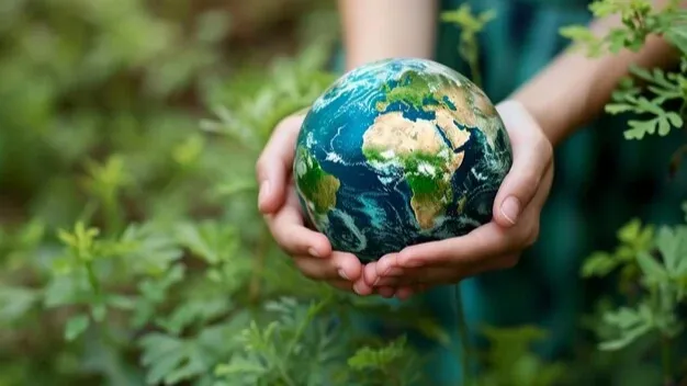 Industrial Zone Environmental Impact Assessment